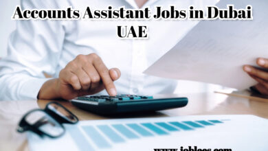 Accounts Assistant Jobs in Dubai UAE