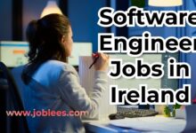 Software Engineer Jobs in Ireland