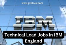 Technical Lead Jobs in IBM England