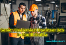 Senior Mechanical Engineer Job in Saudi Arabia