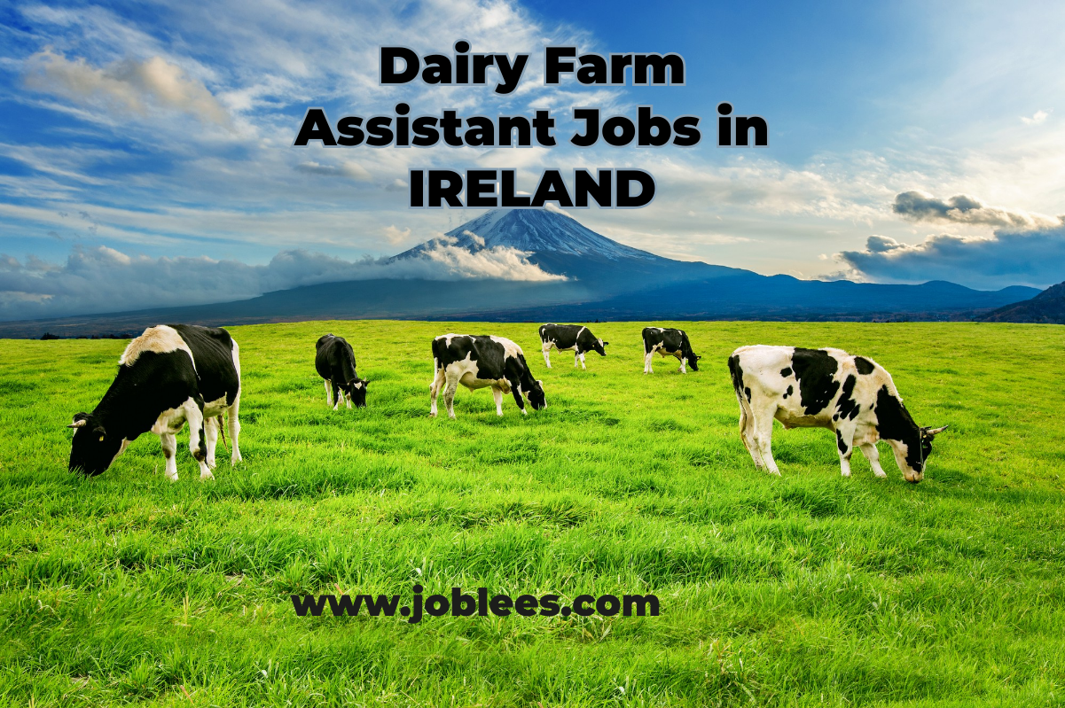 Dairy Farm Assistant Jobs in Ireland 2023