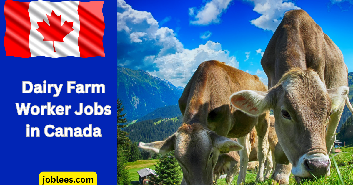 Dairy Farm Worker Jobs in Canada