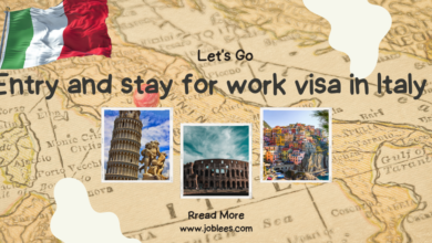 Entry and stay for work visa in Italy
