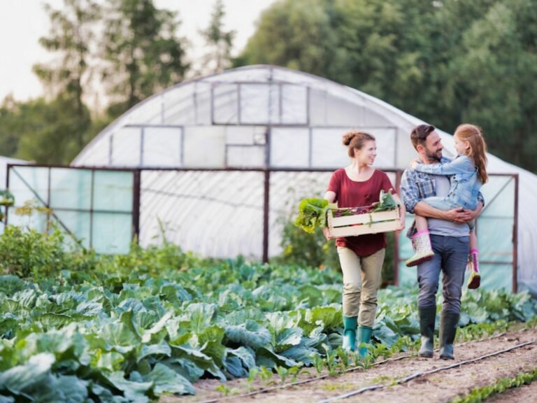 Canada Vegetable Farm